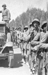 تعداد نمايش: 2219 بار